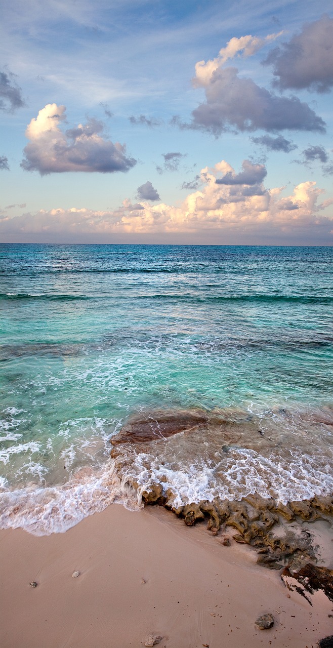 Protecting Caribbean Coral Reefs: Challenges and Conservation Initiatives
